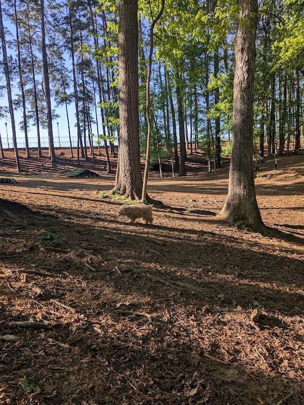 Canine Commons Dog Park - Image 1