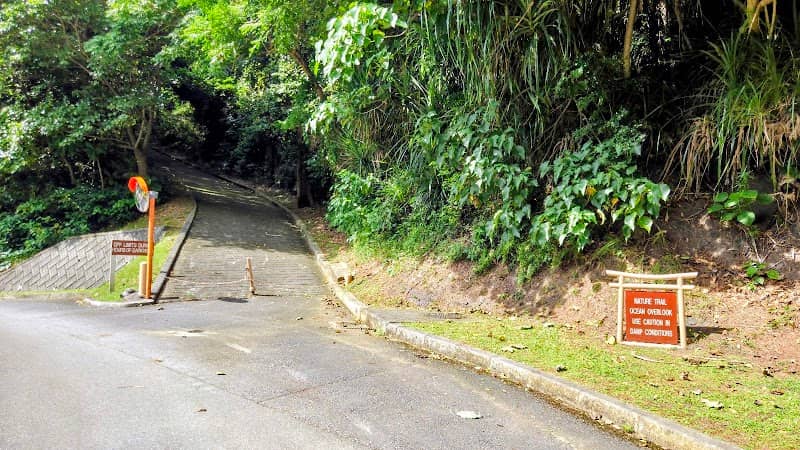 Nature Trail - Image 1