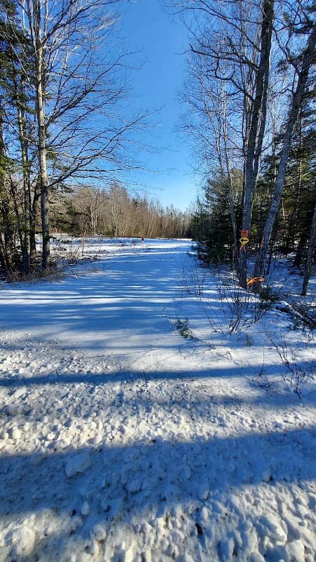 Snowmobile trail, accessible to the power lines - Image 1
