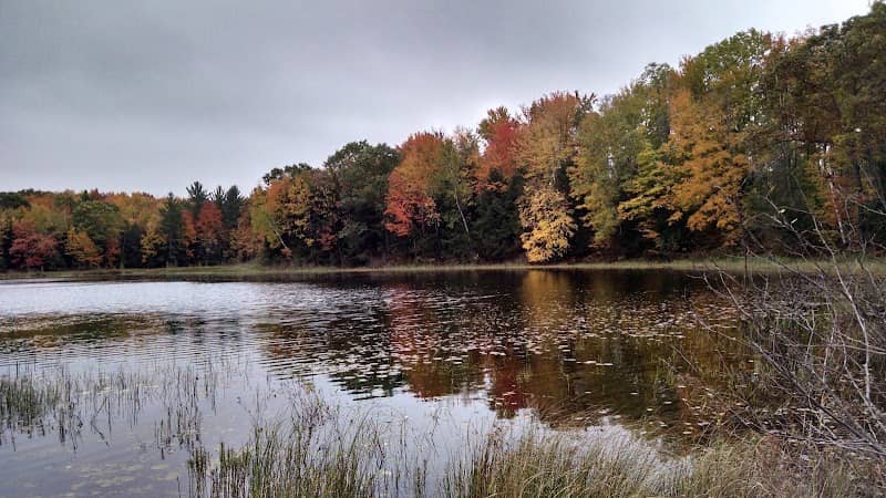 Papoose Lake Nature Preserve - Image 2