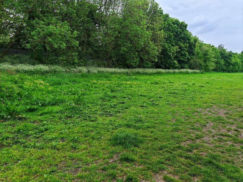 Jack Kaye's Field - Image 1