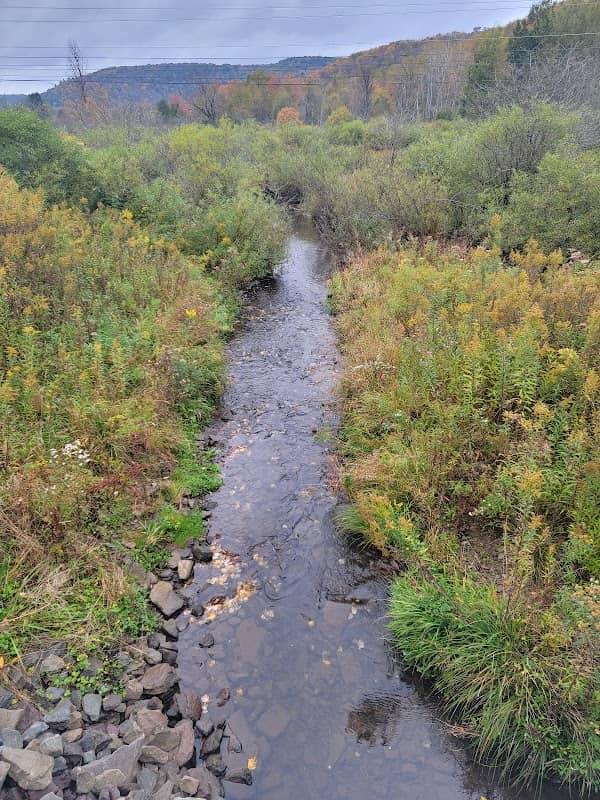 Allegheny River Headwaters and Hydrological Headwaters of the Mississippi River - Image 1