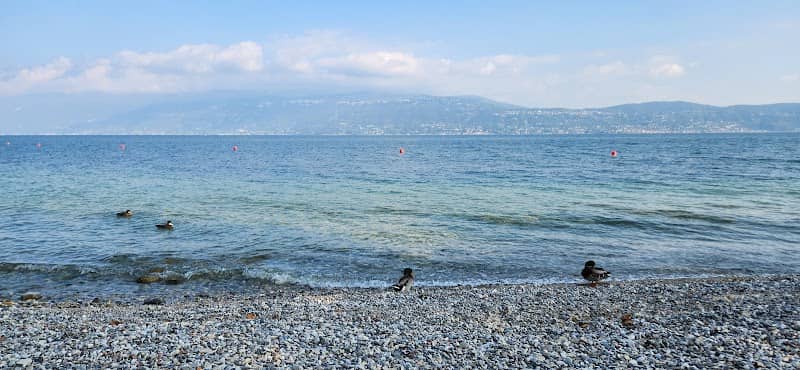 Spiaggia degli Ulivi - Image 1