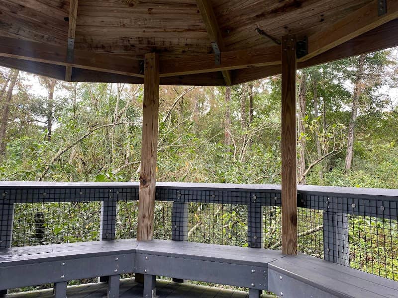 Tall Cypress Natural Area - Image 2