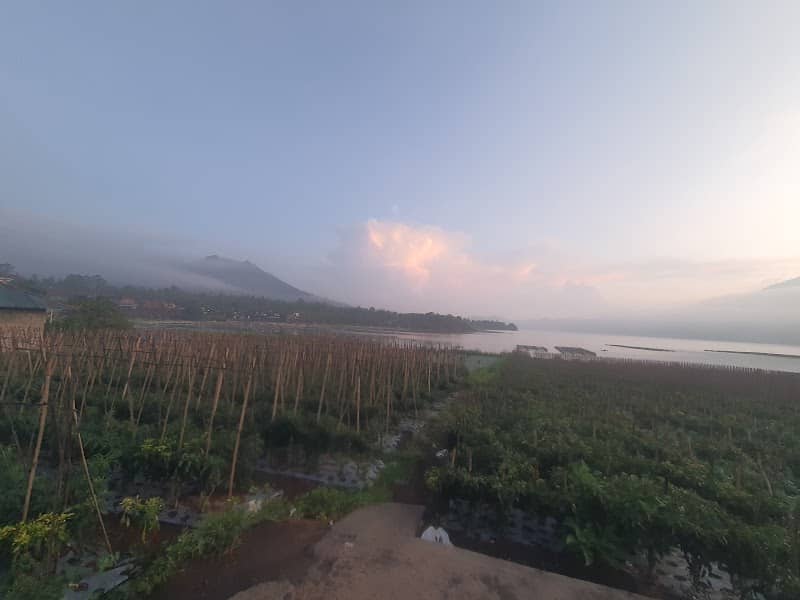 Batur lake view point - Image 2