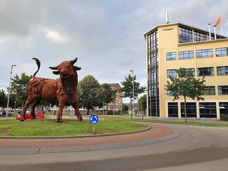 De Stier - Image 2