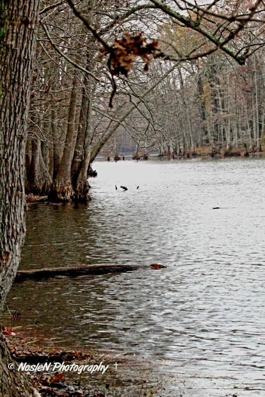 Mayflower Lakeside Park - Image 1