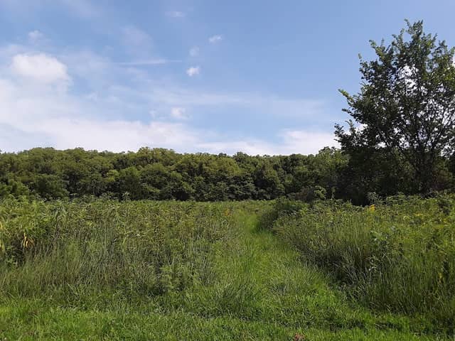 Dorsett Hill Prairie Conservation Area - Image 2