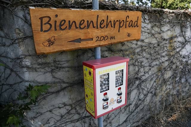 Bienenlehrpfad Egelsbach - Image 2