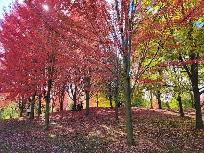 Fairy Lake Park - Image 1