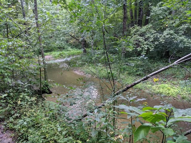 Thorpe Creek Natural Area - Image 2