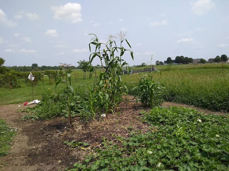 Paola Community Garden - Image 1