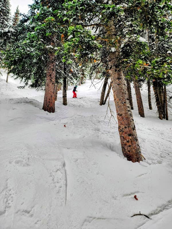 Shadow Ridge Glades - Image 2
