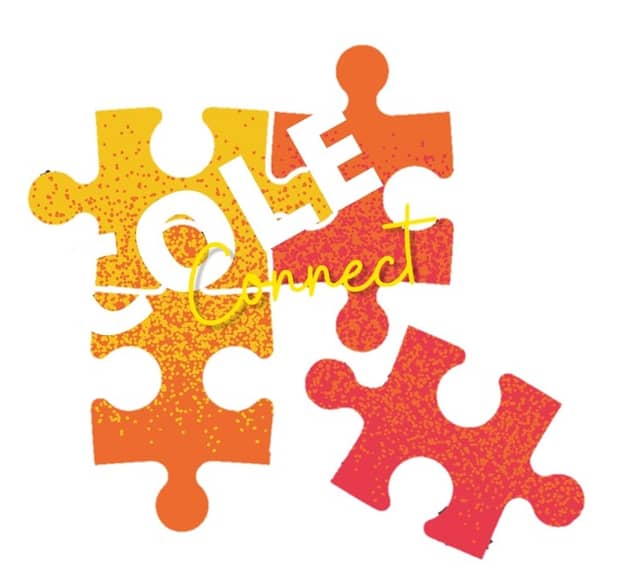 Soft Play Rentals Cole Connect - Image 1