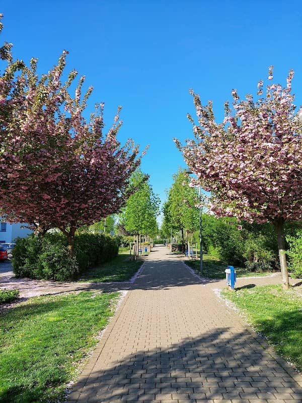 Kelten Park - Image 3