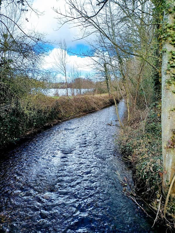 Canal Louis XIV, pont du lavoir - Image 2