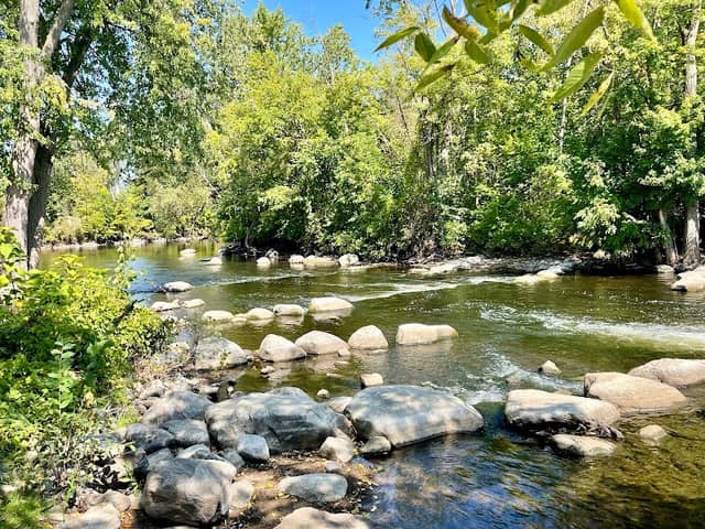 Mill Pointe Park - Image 1