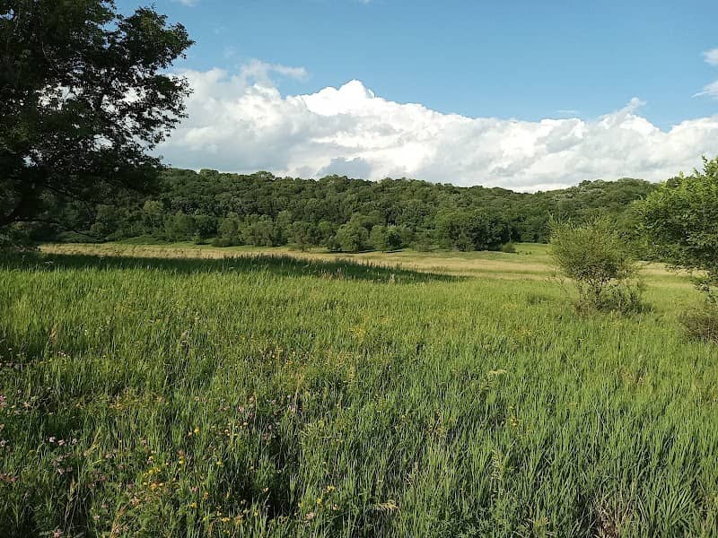 Indian Lake Conservation Area - Image 2