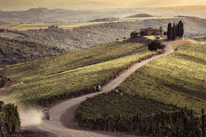 Castiglion del Bosco Winery - Image 1