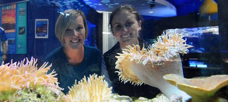 Solitary Islands Aquarium - Image 2