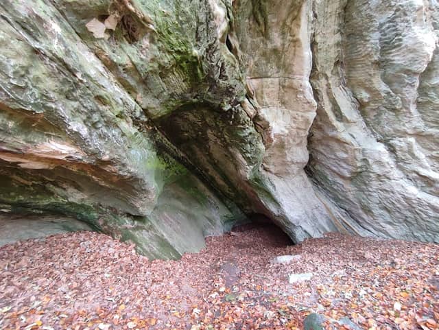 Harly-Wald - Image 1