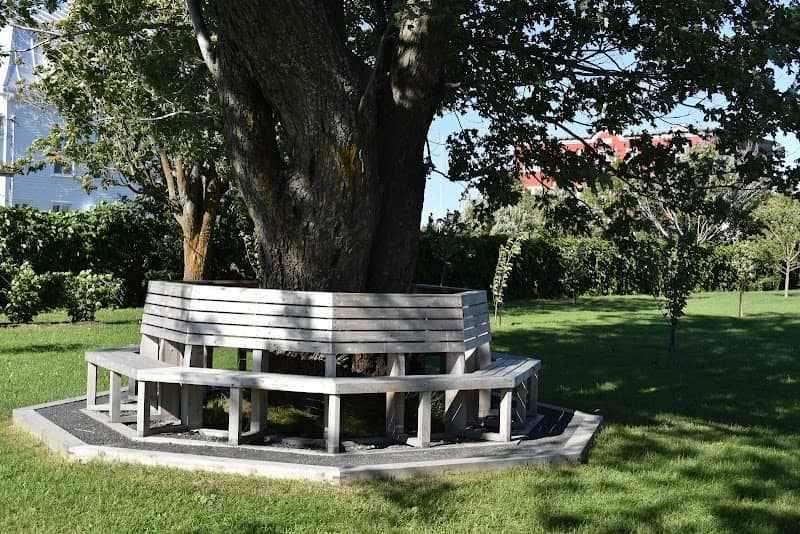 Les jardins frutiers - Image 2
