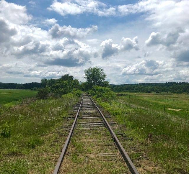 Scenic RailRiders - Image 1