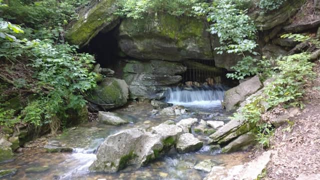 Blowing Springs Park - Image 3