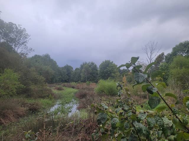 Little Sugar Creek Greenway Access - Image 2