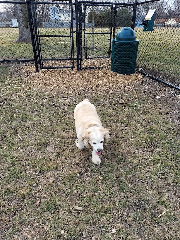 Sturtevant Dog Park - Image 1