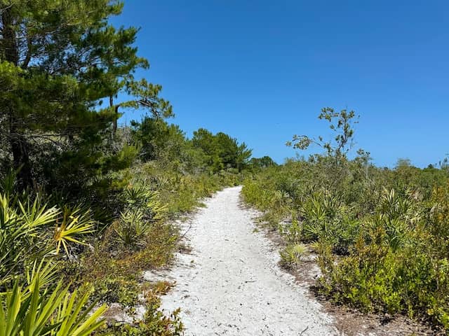 North Sebastian Conservation Area - Image 2