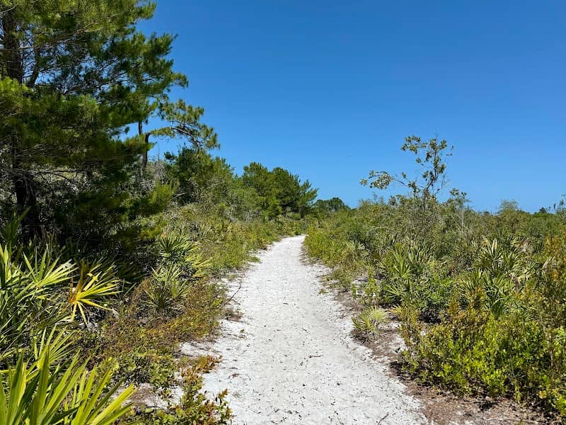 North Sebastian Conservation Area - Image 2