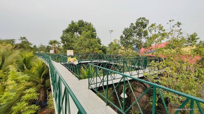 สกายวอล์ค บึงคำพร้อย Bueng Kham Phroi Skywalk - Image 2