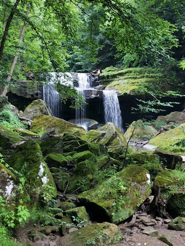 Centerville Mills - Image 1