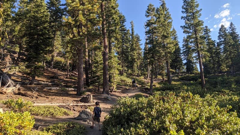 Spooner Summit Trailhead - Image 2