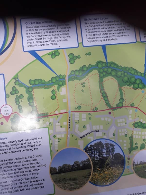 Tanyard meadows - Image 1