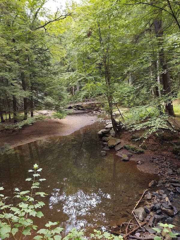 Toms Run - Image 1