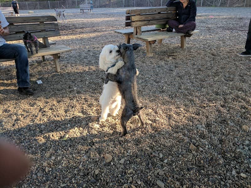 Desoto Dog Park Hot Springs Village - Image 1