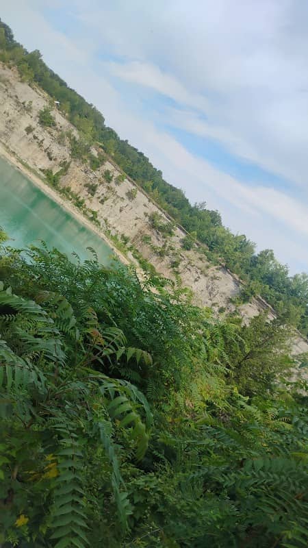 The Quarry Adventure Park - Image 1