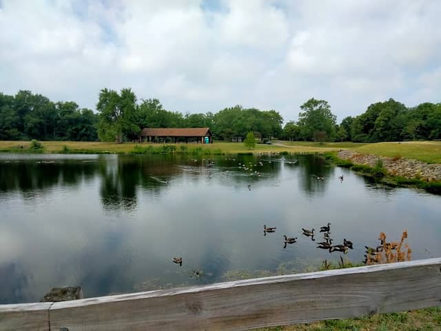Pine Hill Lakes Park - Image 2