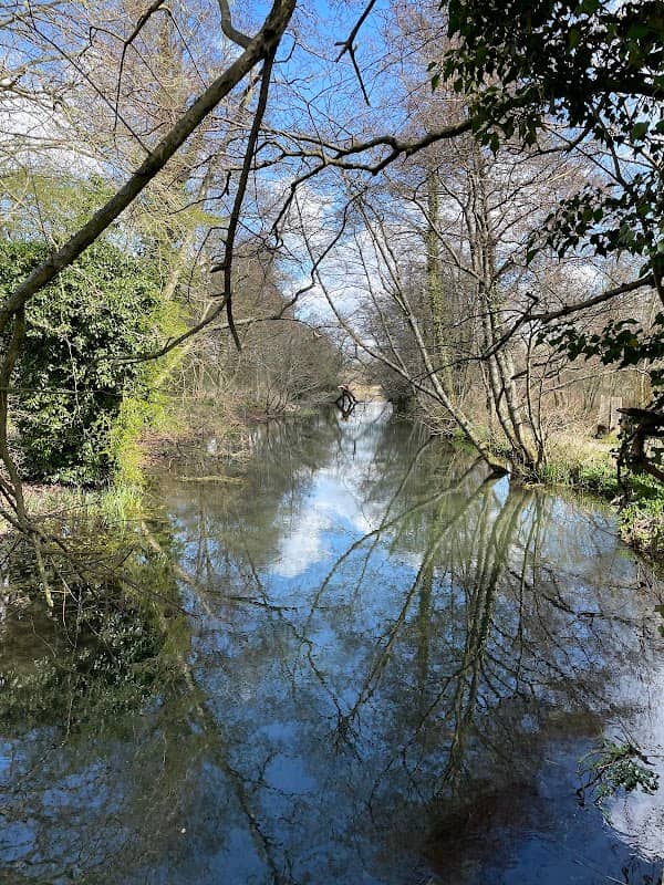 Winnall Moors Wildlife Reserve - Image 2