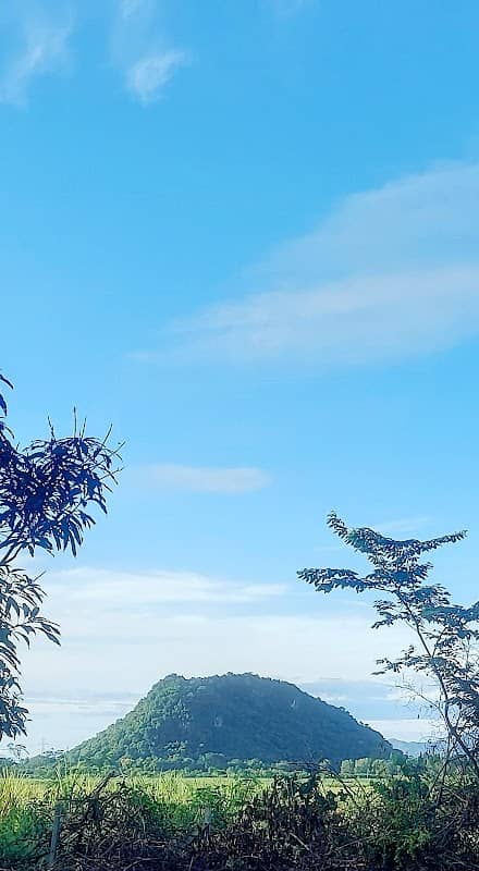 บ้านไร่หลิมเจริญ - Image 2