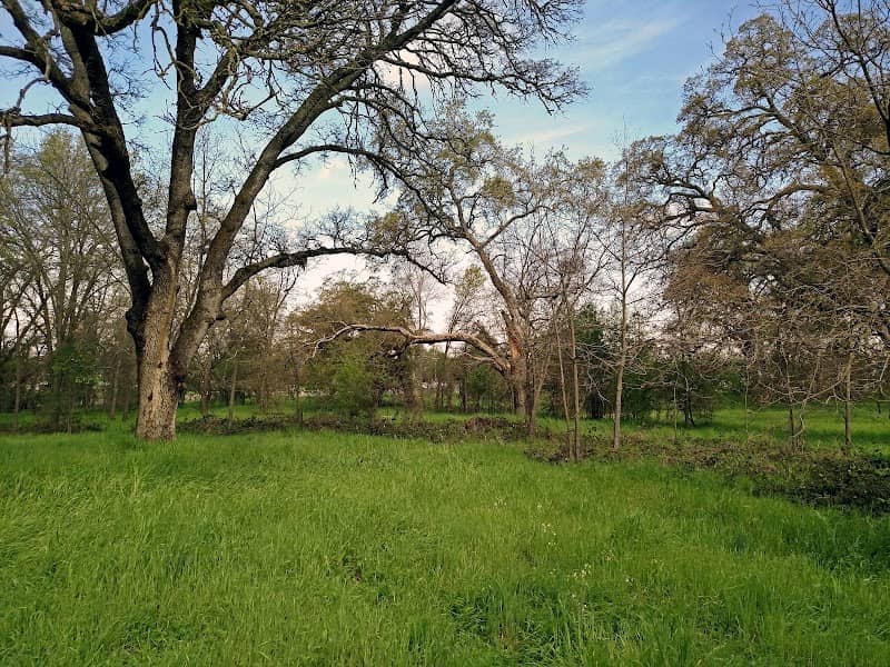 Sunrise Oaks - Image 1