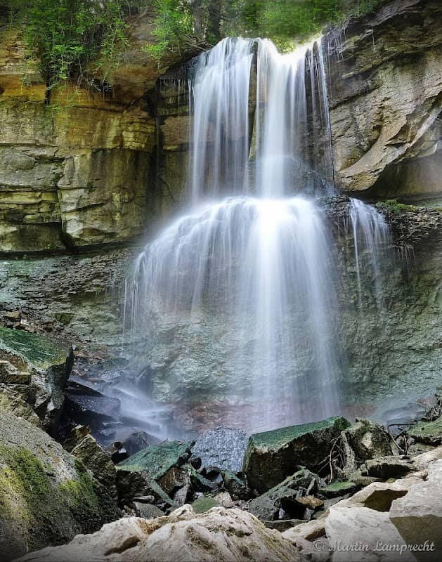 Webwood Falls Nature Reserve - Image 1