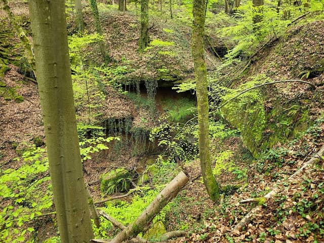 Pastorengrät - Image 1