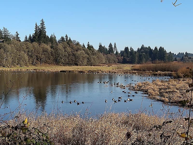 Sternwheeler Park - Image 1