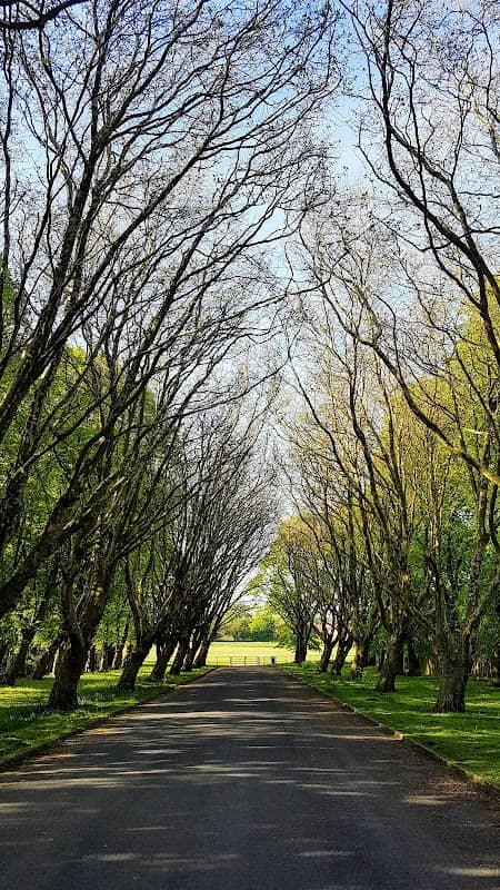 Green Park - Image 2