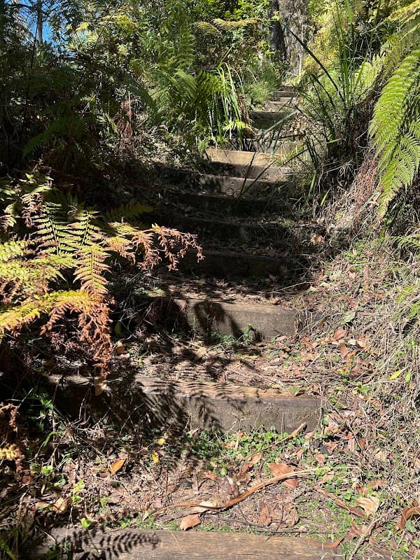 Historic Nightcap Walking Track - Image 2