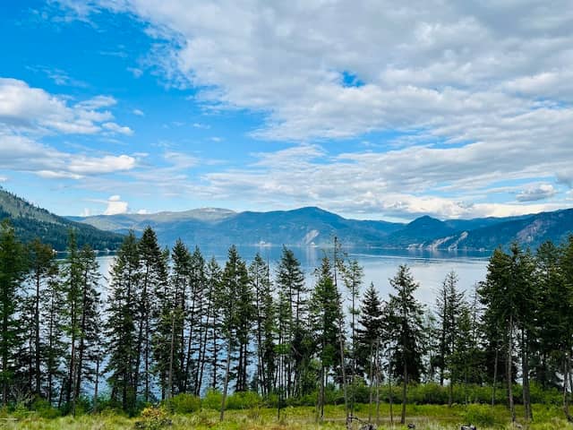 MacDonald Viewpoint - Image 1