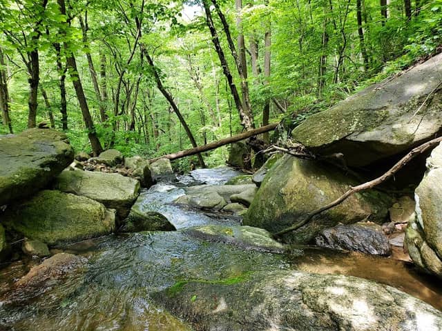 Musconetcong Gorge - Image 2